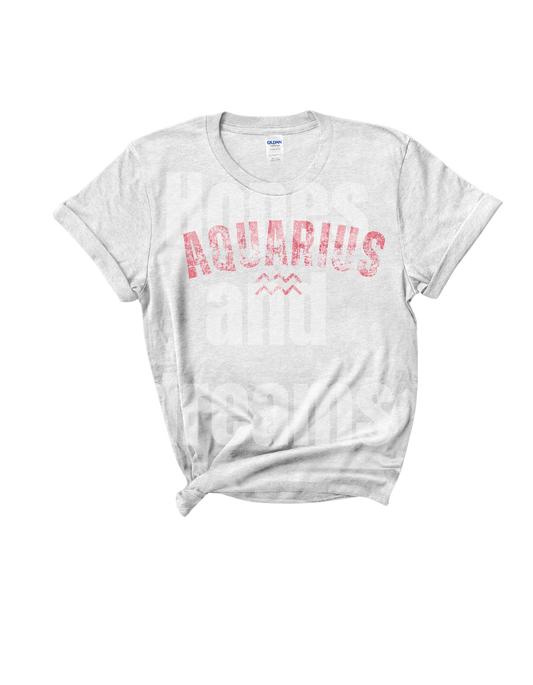 vintage AQUARIUS t-shirt